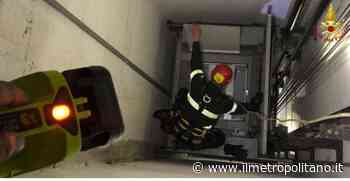 Fermo, una donna e il suo cane rimangono bloccati in ascensore. Salvati dai Vigili del Fuoco - Ilmetropolitano.it - ilMetropolitano.it