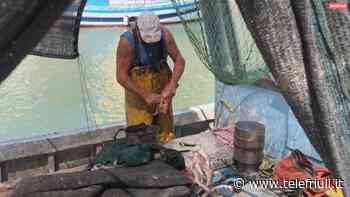 Fermo Pesca, preoccupazione per i mancati indennizzi 2020 - Telefriuli