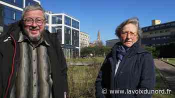 Arras : où en est-on de la pétition contre le projet de rénovation du Palais Saint-Vaast - La Voix du Nord