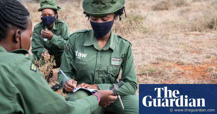 Budget cuts and collapse in tourism revenue pose 'severe' threat to nature