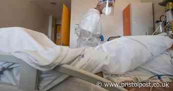 Child, 11, dies with coronavirus - latest UK hospital deaths - Bristol Live