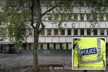 Tottenham stabbing: boy charged with murder by Met Police