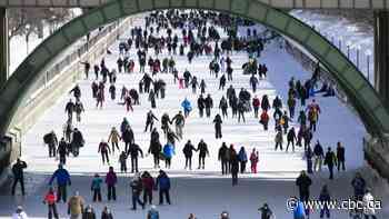 A year of COVID-19 living: How lockdowns have affected our life