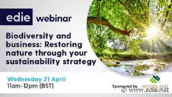 Kering and Woodland Trust to speak at edie's nature and corporate sustainability webinar