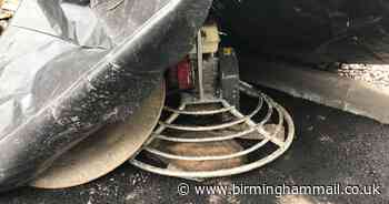 Badger rescued after getting stuck inside machinery at Dudley building site - Birmingham Live