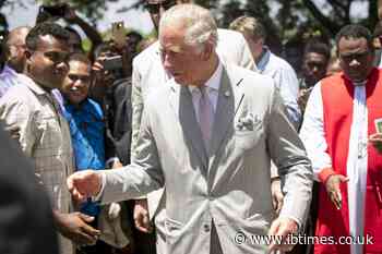 Prince Charles' timely photo-op with Black NHS workers raises questions