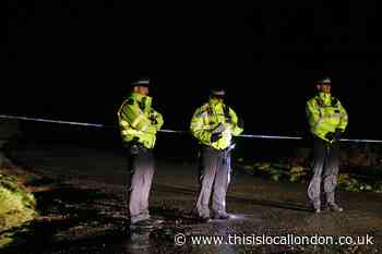 Sarah Everard: Live updates after 'human remains' discovered