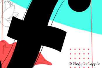 5 Typography Tips for your UI