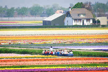 50 Spectacular Sights of Nature You Should See, Vol. 2