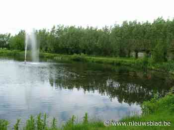 Lievegem onderzoekt vissterfte in gemeentelijke visvijver