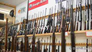 House approves bill tightening background checks on guns