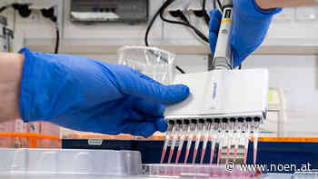 Die Teststationen im Bezirk Neunkirchen auf einen Blick - NÖN.at