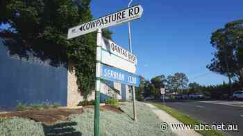 Peak-hour in this Sydney suburb is so bad, commuters are driving on the wrong side of the road to avoid it