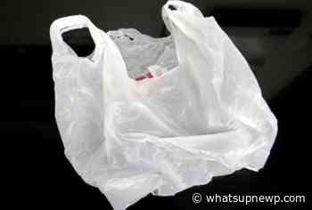 Legislation to ban disposable plastic checkout bags in Rhode Island will be heard this afternoon - What'sUpNewp