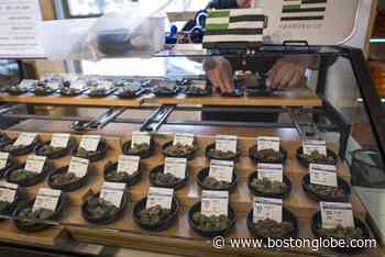 A guide to the Rhode Island Senate’s plan to legalize cannabis - The Boston Globe