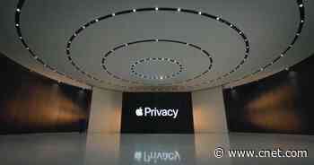 Apple's new privacy-label database lets you see what data apps gather on you     - CNET