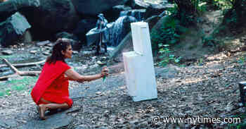 Bliss and Anger in Balance: The Art of Lorraine O’Grady