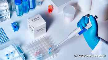 First case of South African coronavirus variant found in Northern Virginia - WSLS 10