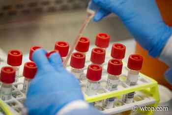 Case of coronavirus variant 1st identified in South Africa reported in Northern Virginia - WTOP