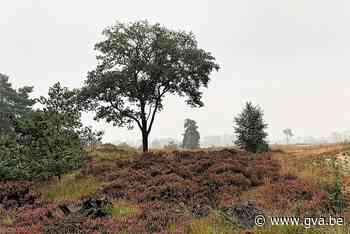 Wandelpaden tijdelijk afgesloten voor broedseizoen (Kalmthout) - Gazet van Antwerpen