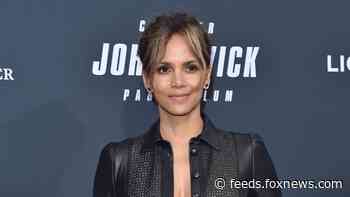 Halle Berry stuns as she poses in sheer crop top, tulle ball gown skirt: ‘Looking for a red carpet moment’