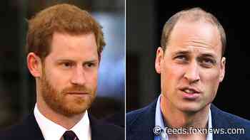 Prince Harry, Prince William ‘have opened communication channels’ after Oprah Winfrey interview: report