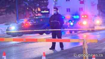 Saskatoon police investigating city's 3rd homicide of 2021 | Watch News Videos Online - Globalnews.ca