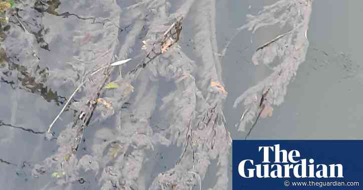 AI reveals 1,000 'dark discharges' of untreated sewage in England