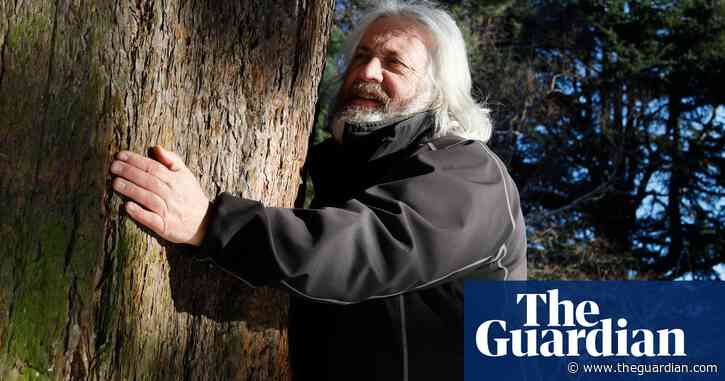 Experience: I’m a tree hugger