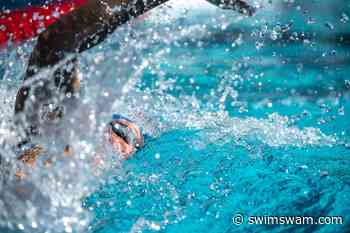 Online Coaching: Does It Add Any Value For Swimmers? - SwimSwam