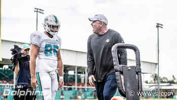 The Who, Why, How of the Dolphins Coaching Staff - DolphinMaven