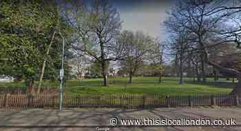 Concerns over plans to sell alcohol in popular Wanstead green