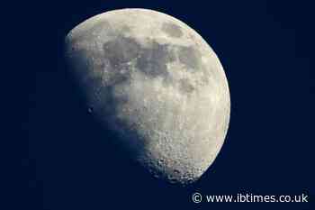 Sperm bank in space: Scientists consider building "ark" on moon to store 6.7 million sperm specimens