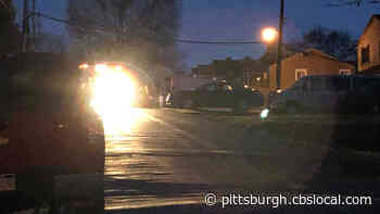 Police Surround Home In Baldwin Borough