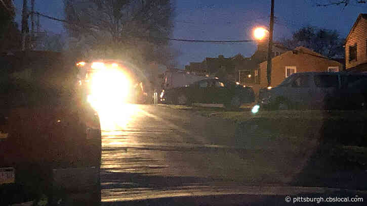 Police Standoff In Baldwin Ends Peacefully, Suspect Taken Into Custody