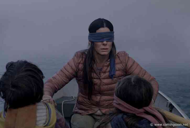 Netflix Developing Bird Box Spanish Spin-Off Film
