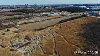 Amazon will not build giant warehouse on wetland in Pickering