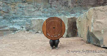 Listen to Five of the World’s Newest, Wildest Instruments