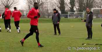 Live 24! Matelica-Padova, -4: si punta al recupero di Bifulco e Cissè - Padova Goal