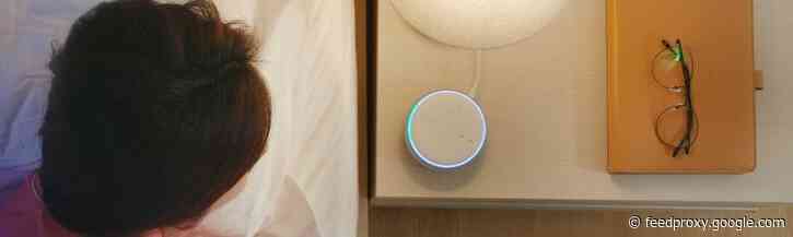 Opmars voice in Nederland: 30% maakt gebruik van voice-assistent [nieuw onderzoek]