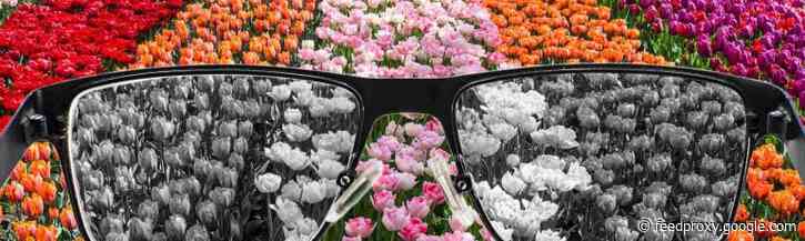 Webdesign voor kleurenblinden: 5 praktische tips