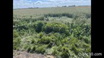 Merced woman arrested for DUI crash that left 17-year-old daughter dead