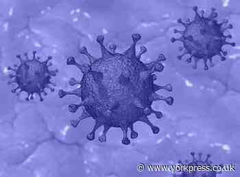 Big rise in number of York children testing positive for coronavirus - York Press