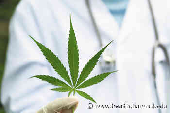 The highs and lows of medical cannabis - Harvard Health - Harvard Health