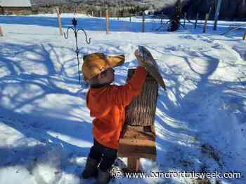 Locals take up hobbies during COVID-19 | Bancroft this Week - Bancroft This Week