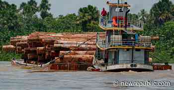 The Amazon Rain Forest Is in Worse Shape Than We Thought - The New Republic