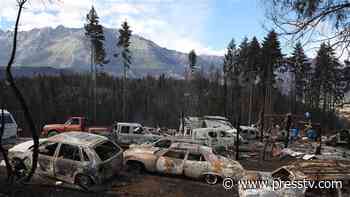 Forest fires in Argentina leave 7 injured, 15 missing 14min - PRESSTV