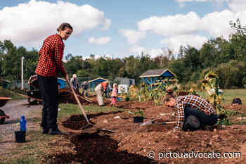 Food forest in Scotsburn enters second phase - pictouadvocate.com
