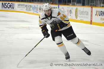 Opportunity to grow: Cape Breton Eagles' MacDonald thriving after trade from Shawinigan - TheChronicleHerald.ca
