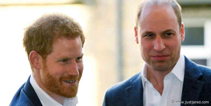 Princes William & Harry Will Still Attend Princess Diana Memorial Together This Summer
